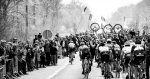 paris-roubaix-Grubers-best-of-12-of-55.jpg