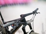 pidcock-olympic-gold-medal-mountain-bike-details-9.jpg