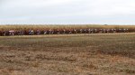 paris-roubaix-femmes-getty-4-of-5-1340x893.jpg