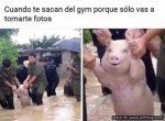 1554315163_cuando-te-sacan-del-gym-porque-solo-vas-a-tomarte-fotos.jpeg