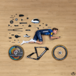 Evenepoel.png