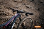 Cannondale Scalpel de Lachlan Morton 3.jpg