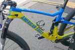 American-Eagle-Flow-XC-Pro-Bike-Stand-With-Ukraine 8.jpg