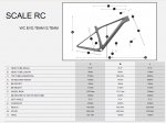 Scale 2023 geometry.jpg