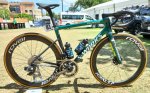 Sam Welsford pro bike.jpg