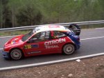 -Rally_Catalunya- 023 (Medium).jpg