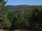 mini-IMG_2335.JPG