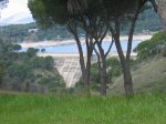 mini-IMG_0674.JPG