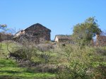 mini-IMG_2364.JPG