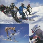 photo-snowscoot8-02.jpg