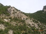DSCN3956.JPG