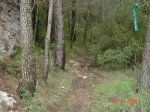 DSC02100.JPG