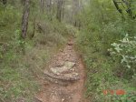 DSC02101.JPG