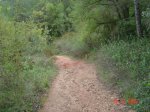 DSC02102.JPG