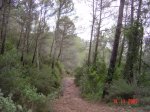 DSC02106.JPG