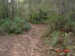 DSC02107.JPG