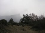 cancias entre la niebla.JPG