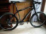 Mis_bicis_F-500_012_redimensionar.jpg