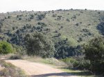 mini-IMG_2551.JPG