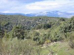mini-IMG_2577.JPG