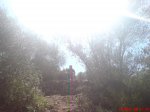 DSC00580.JPG