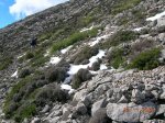 DSCN4203.JPG
