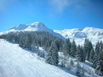DSCN4050.JPG