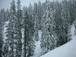 DSCN4087.JPG