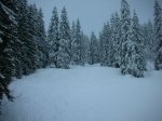 DSCN4091.JPG