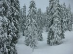 DSCN4092.JPG