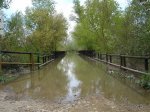 Puente galacho foro.jpg