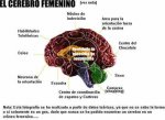 cerebrofemenino.jpg