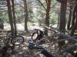 DSCN4163.JPG