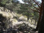 DSCN4161.jpg