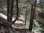 DSCN4178.jpg