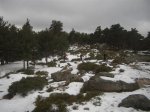 Cercedilla 041105 (45) (Small).JPG