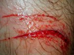 DSCN4181.JPG