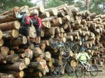 DSCN4188.JPG