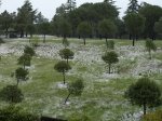 hagel1.jpg