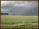 Tormenta en la lejania.jpg