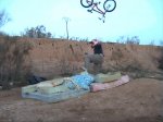 toflip.jpg