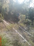 DSC00681.JPG