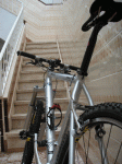 Bici-012.gif