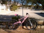 Pink-bike (Small).jpg