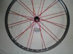 bontrager peso t-1.JPG