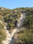 planas09_08 001 (Medium).jpg