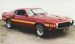 ford-mustangshelbycobragt350196901.jpg