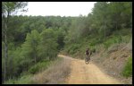 Los pinares de Vejer 3.jpg