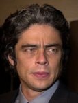 deltoro_benicio.jpg