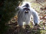 Yeti_Doll_by_mostlymade.jpg